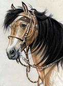 Western, Equine Art - Buckskin Paso